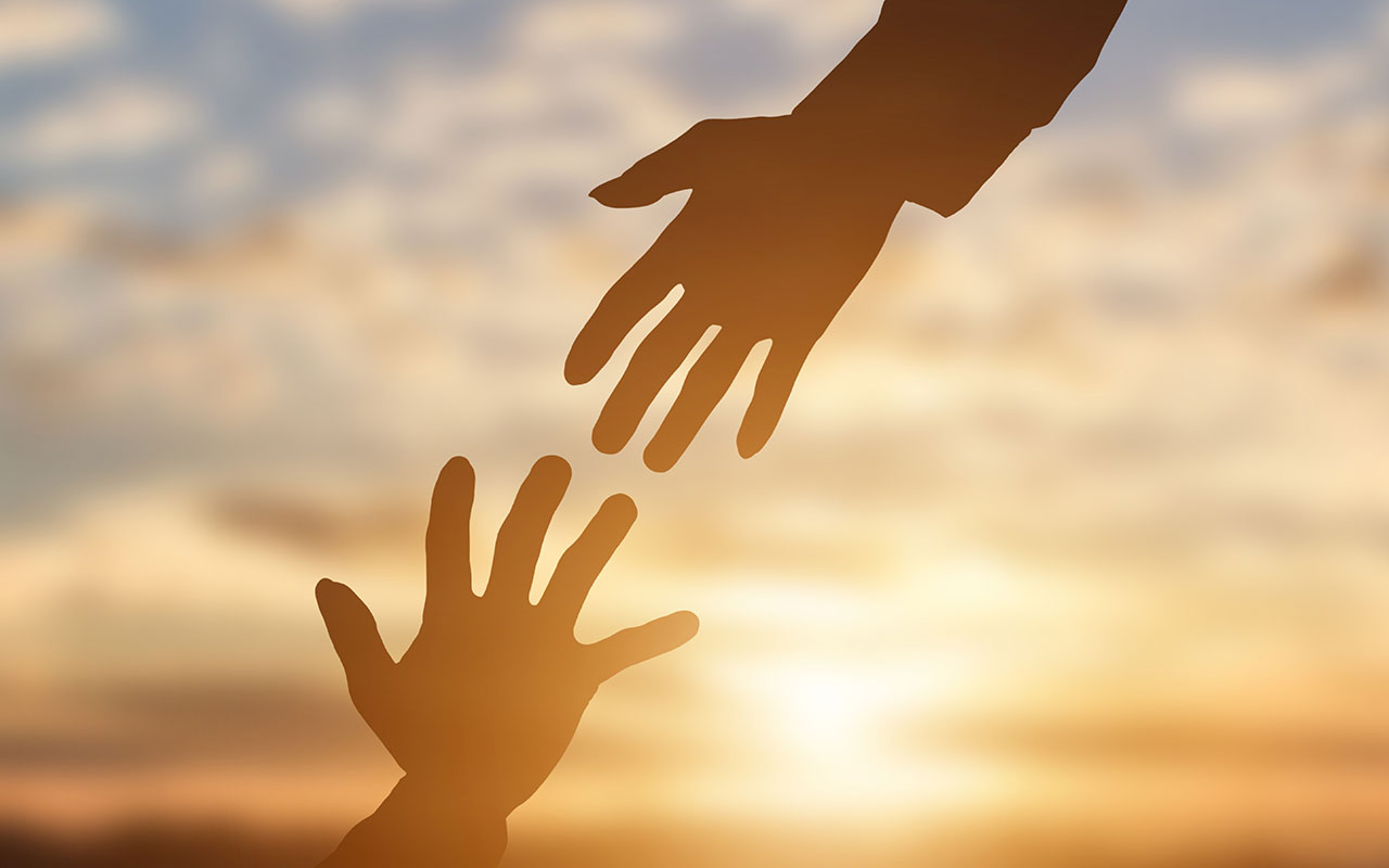 purpose meets provision